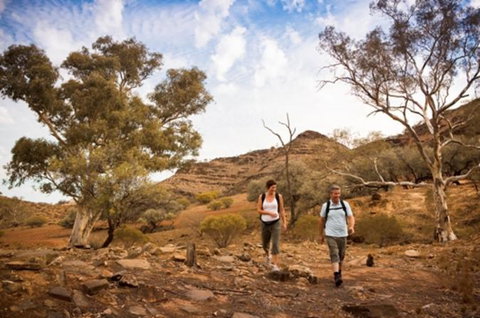 Flinders Ranges 3 Day 4WD Small Group Eco Tour From Adelaide - VIC Tourism 0