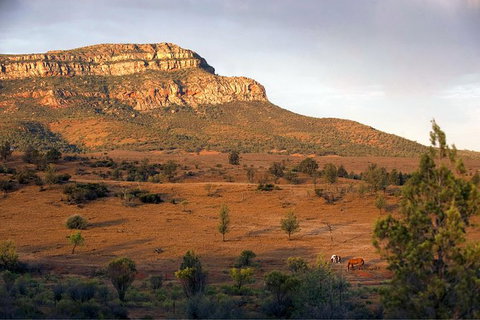Flinders Ranges 3 Day 4WD Small Group Eco Tour From Adelaide - VIC Tourism 8