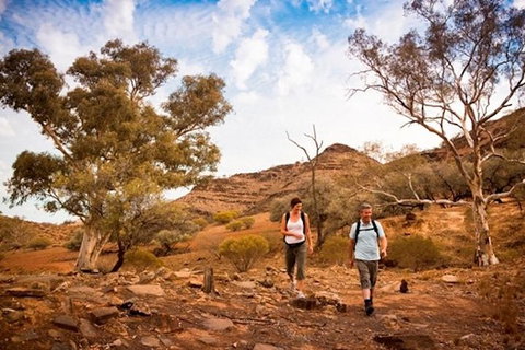 Flinders Ranges 3 Day 4WD Small Group Eco Tour From Adelaide - VIC Tourism 3