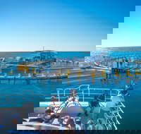 2 Hour Aquarium Tour