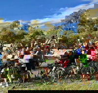 McLaren Vale Shiraz Trail Cycling Tour from Adelaide - VIC Tourism