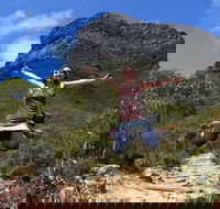 7 Days Camping Flinders Ranges Coober Pedy Kings Canyon Uluru - VIC Tourism