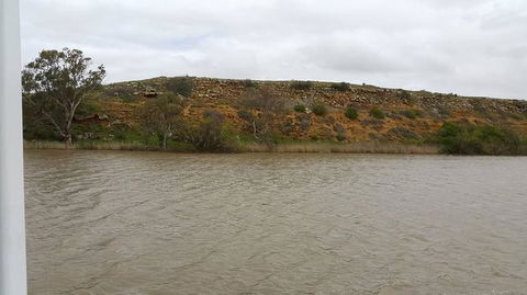 Murray River Riverboat Tour Including Lunch From Adelaide - VIC Tourism 9