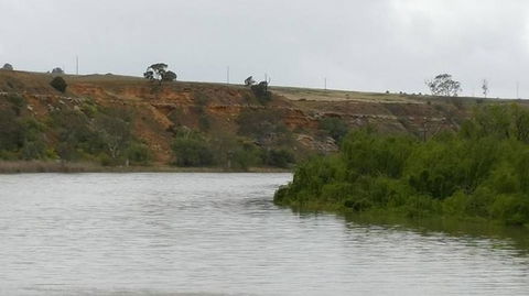 Murray River Riverboat Tour Including Lunch From Adelaide - VIC Tourism 6