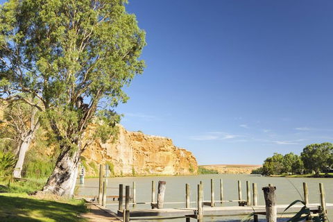 Murray River Riverboat Tour Including Lunch From Adelaide - VIC Tourism 1