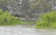 Murray River Riverboat Tour Including Lunch From Adelaide - thumb 4