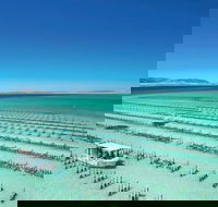 Coffin Bay Day Tour - A Taste of Coffin Bay - VIC Tourism