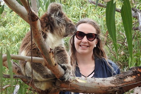 One Day Port Lincoln Tour - Tasting Eyre - VIC Tourism 2