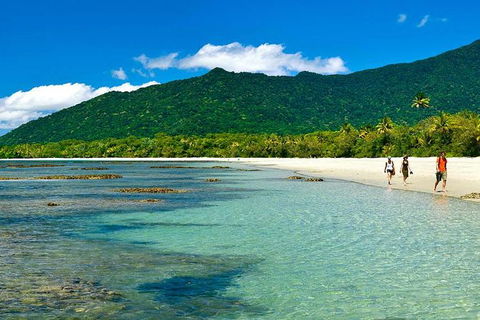 5-Day Best Of Cairns With Daintree, Kuranda, And Great Barrier Reef - VIC Tourism 7