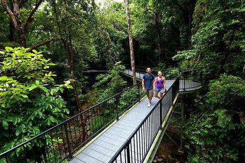 5-Day Best Of Cairns With Daintree, Kuranda, And Great Barrier Reef - VIC Tourism 4