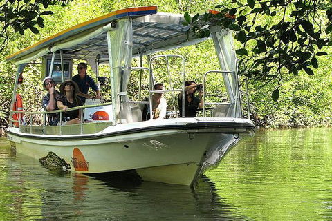 5-Day Best Of Cairns With Daintree, Kuranda, And Great Barrier Reef - VIC Tourism 8