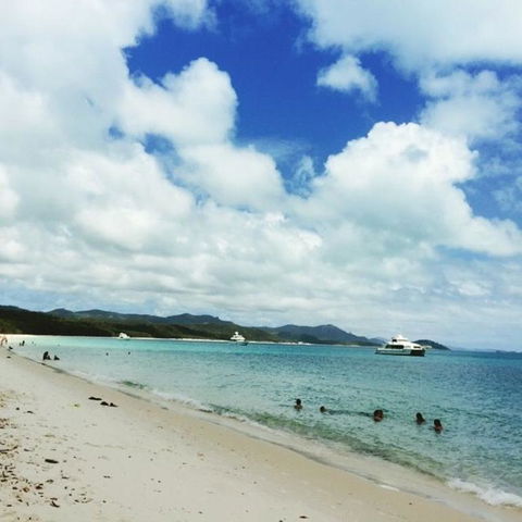 Whitehaven Beach Half-Day Cruises - VIC Tourism 11