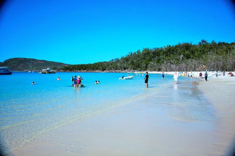 Whitehaven Beach Half-Day Cruises - VIC Tourism 9