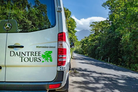 Full Day Daintree Rainforest And Mossman Gorge Tour - VIC Tourism 4