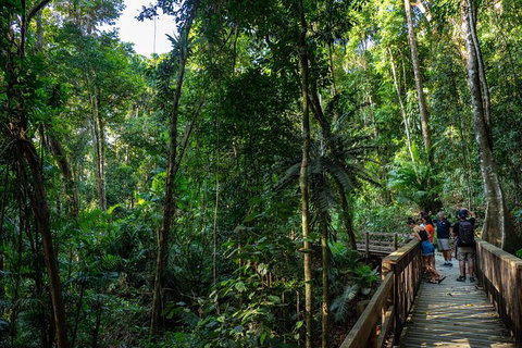 Full Day Daintree Rainforest And Mossman Gorge Tour - VIC Tourism 10