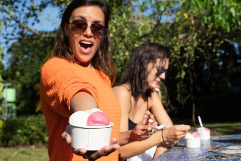 Full Day Daintree Rainforest And Mossman Gorge Tour - VIC Tourism 9