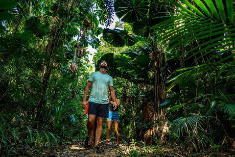 Full Day Daintree Rainforest And Mossman Gorge Tour - VIC Tourism 12