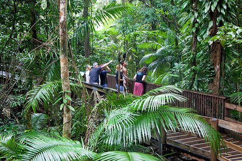 Full Day Daintree Rainforest And Mossman Gorge Tour - VIC Tourism 2