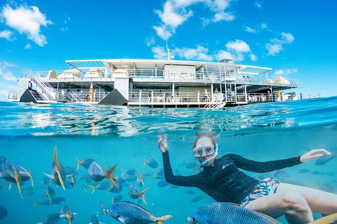 2-Day Great Barrier Reef Reefsleep Experience - VIC Tourism 8