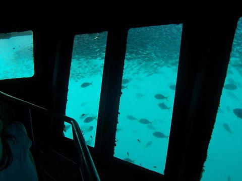 Great Barrier Reef Day Cruise To Reefworld - VIC Tourism 12