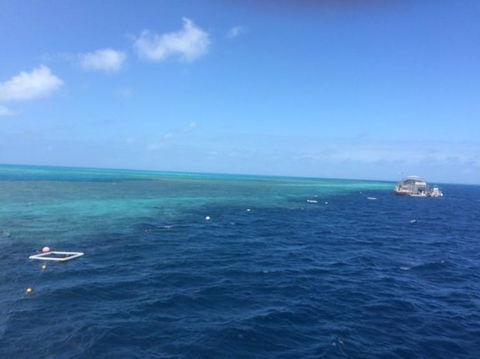 Great Barrier Reef Day Cruise To Reefworld - VIC Tourism 8