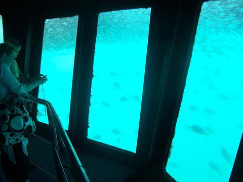 Great Barrier Reef Day Cruise To Reefworld - VIC Tourism 11