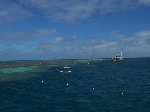 Great Barrier Reef Day Cruise To Reefworld - VIC Tourism 15