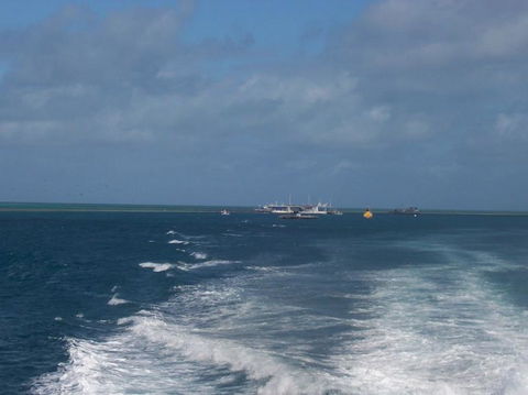 Great Barrier Reef Day Cruise To Reefworld - VIC Tourism 22