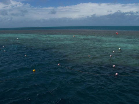 Great Barrier Reef Day Cruise To Reefworld - VIC Tourism 16