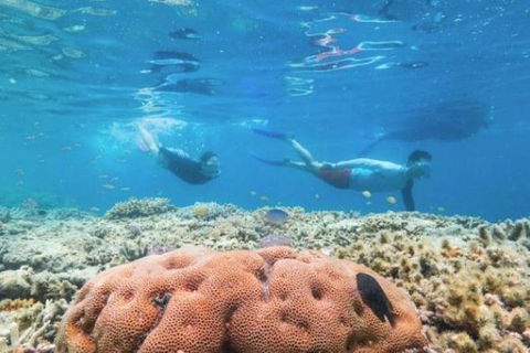 Great Barrier Reef Day Cruise To Reefworld - VIC Tourism 1