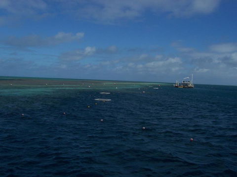 Great Barrier Reef Day Cruise To Reefworld - VIC Tourism 13