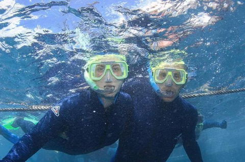Great Barrier Reef Day Cruise To Reefworld - VIC Tourism 3