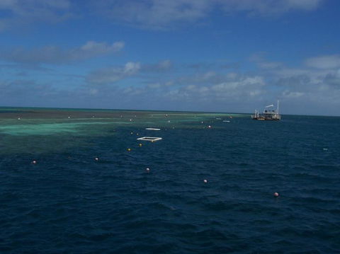 Great Barrier Reef Day Cruise To Reefworld - VIC Tourism 14