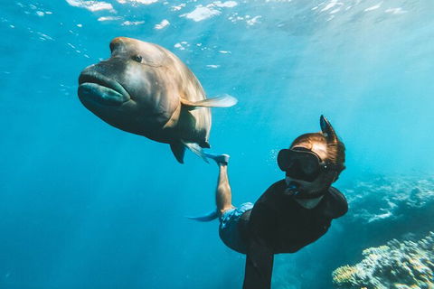 Great Barrier Reef Day Cruise To Reefworld - VIC Tourism 25