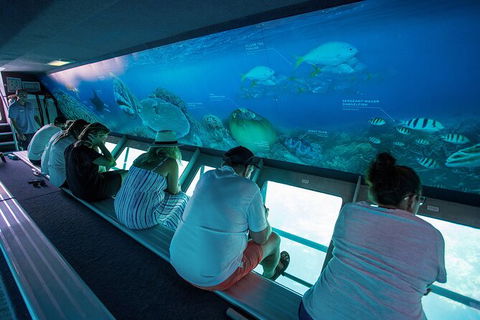 Great Barrier Reef Day Cruise To Reefworld - VIC Tourism 28