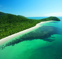 Cape Tribulation Mossman Gorge and Daintree Rainforest Day Trip from Cairns or Port Douglas - VIC Tourism