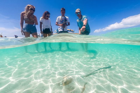 Ocean Rafting Tour To Whitehaven Beach, Hill Inlet Lookout & Top Snorkel Spots - VIC Tourism 24
