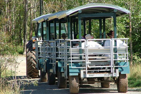 Whitsunday Crocodile Safari Including Lunch - VIC Tourism 6