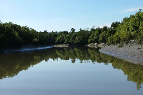 Whitsunday Crocodile Safari Including Lunch - VIC Tourism 3