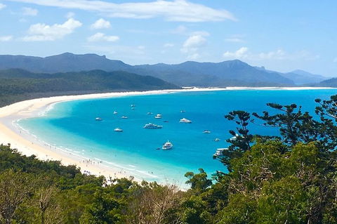 Whitehaven Beach And Hill Inlet | Awesome Beach BBQ | Family Friendly - VIC Tourism 7