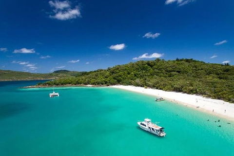 Whitehaven Beach And Hill Inlet | Awesome Beach BBQ | Family Friendly - VIC Tourism 10