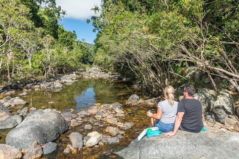 Whitsunday Segway Rainforest Discovery Tour - VIC Tourism 4