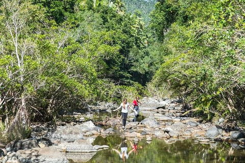 Whitsunday Segway Rainforest Discovery Tour - VIC Tourism 10