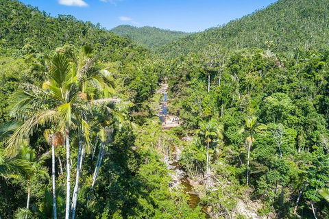 Whitsunday Segway Rainforest Discovery Tour - VIC Tourism 5