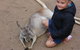 Gold Coast Attraction Pass Including Currumbin Wildlife Sanctuary And Paradise Jetboating - thumb 3