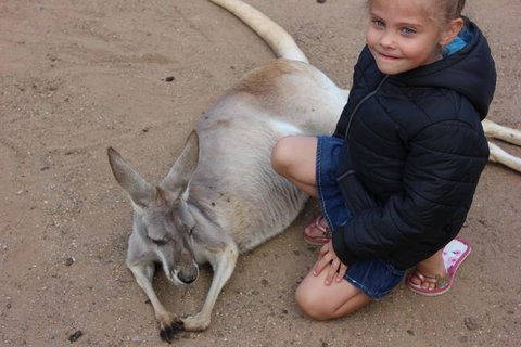 Gold Coast Attraction Pass Including Currumbin Wildlife Sanctuary And Paradise Jetboating - VIC Tourism 3