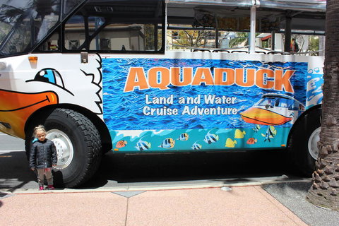 Gold Coast Attraction Pass Including Currumbin Wildlife Sanctuary And Paradise Jetboating - VIC Tourism 2