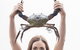 Gold Coast Attraction Pass Including Currumbin Wildlife Sanctuary And Paradise Jetboating - thumb 7