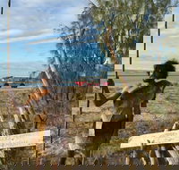 Goolimbil Walkabout Indigenous Experience in the Town of 1770 - VIC Tourism