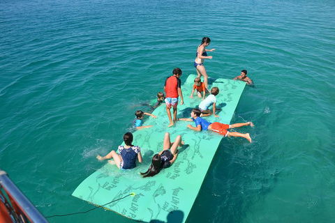 Fraser Island & Dolphin Sailing Adventure - VIC Tourism 6